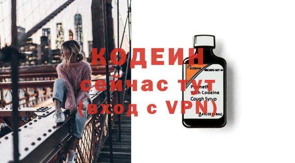 индика Горняк