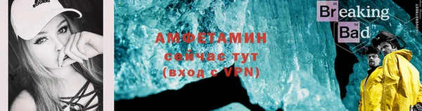индика Горняк
