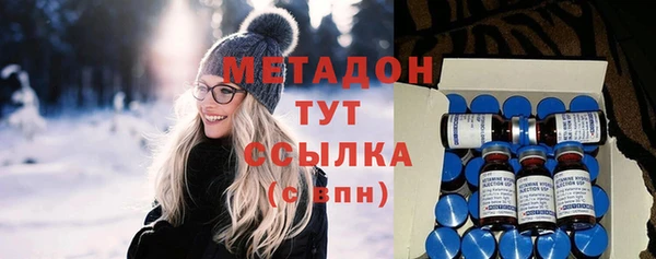 индика Горняк