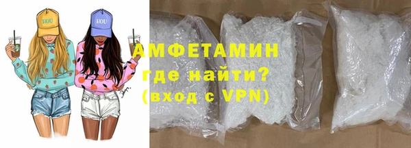 индика Горняк