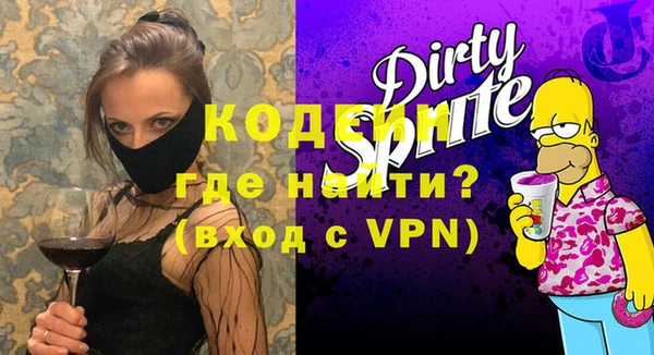 индика Горняк