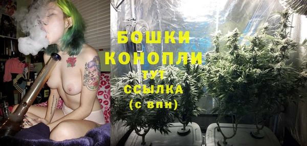 Альфа ПВП Горнозаводск