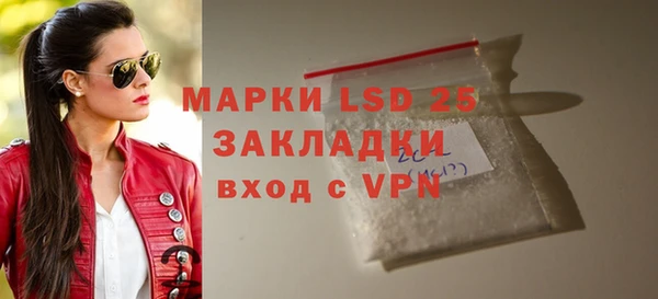 индика Горняк
