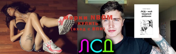 индика Горняк