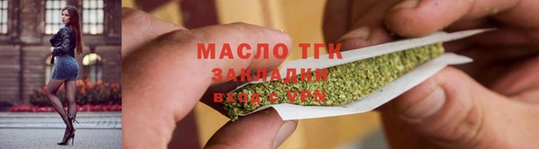 индика Горняк