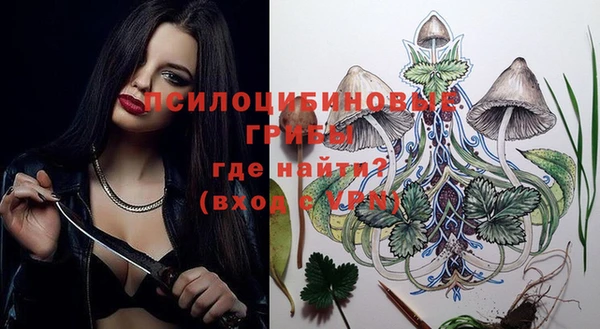 Альфа ПВП Горнозаводск