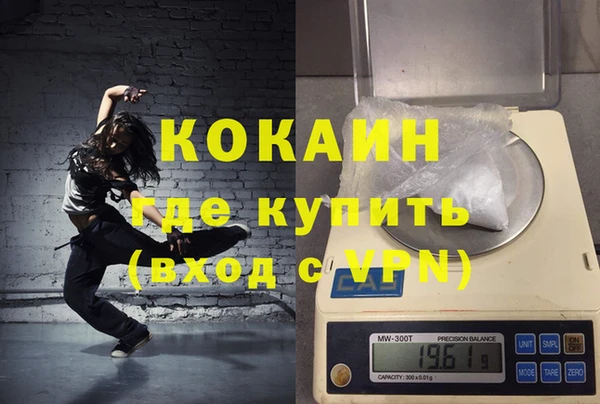 индика Горняк