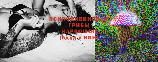 спиды Горно-Алтайск