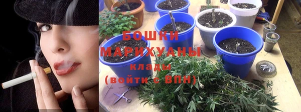 индика Горняк