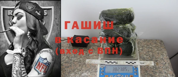 индика Горняк