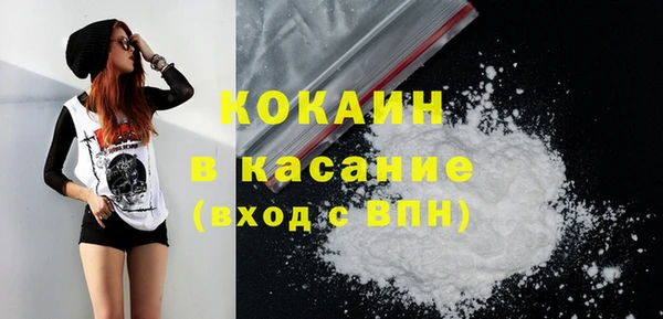 индика Горняк