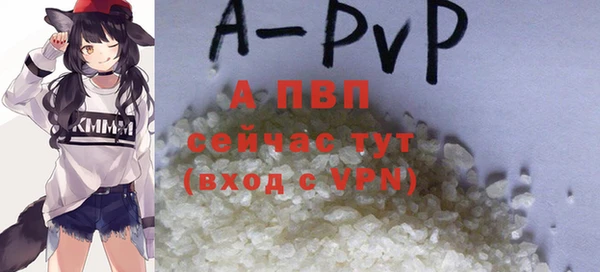 индика Горняк
