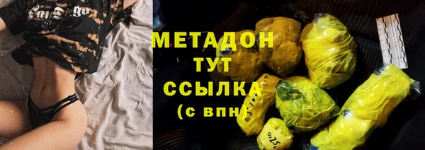 индика Горняк
