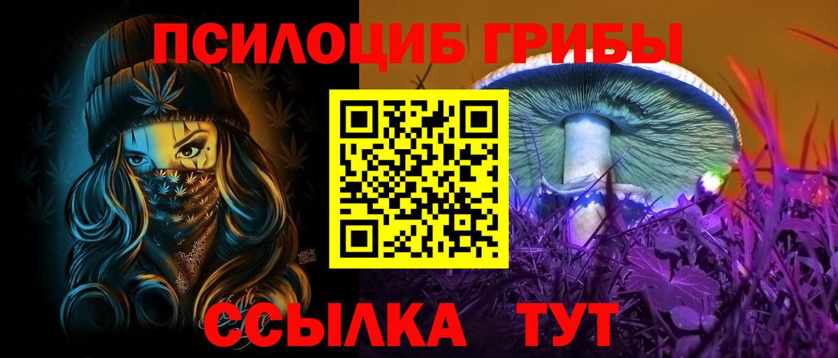 Салават  Галлюциногенные грибы Cubensis  Вход с VPN 