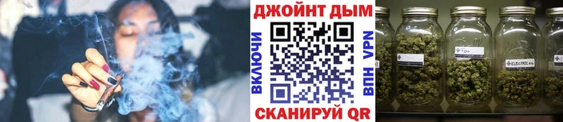 Конопля сатива Салават